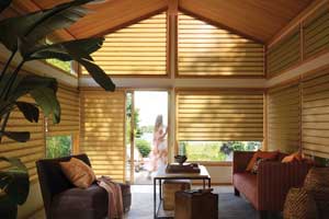 Hunter Douglas Vignette